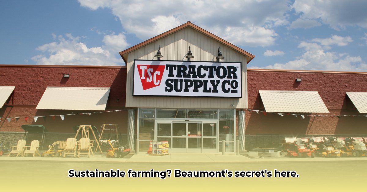 tractor-supply-beaumont-ca